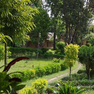 Jungle Base Camp Otel Bardiya Exterior photo