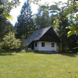 Apartmaji In Sobe Bohinjsko Jezero Otel Ukanc Exterior photo