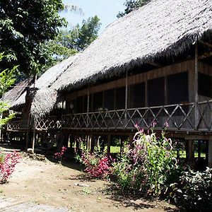 Jungle Wolf Expeditions Otel Nauta Exterior photo