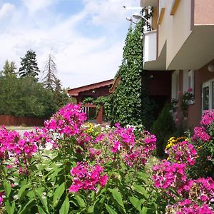 Guest House Zodiac Samoko Exterior photo