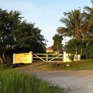 Casa Del Caballo Blanco Otel San Ignacio Exterior photo