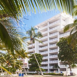 The Palms 402 By Dream Makers Daire Patos Exterior photo