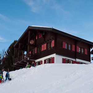 Chalet Gerbera Daire Rosswald Exterior photo