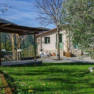 Le Voltarelle Bed & Breakfast Serra San Quirico Exterior photo