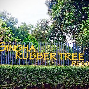 Singha Rubber Tree Otel Ban Huai Maenam Noi Exterior photo