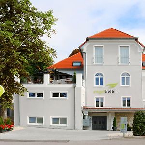 Pension Engelkeller Otel Donauwörth Exterior photo