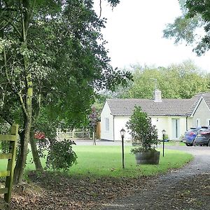 The Willows Otel Wincanton Exterior photo