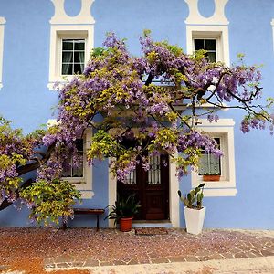 The Blue House Otel Tolmin Exterior photo