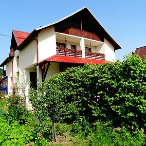 Pensiunea Casa Elena Otel Corbeni Exterior photo