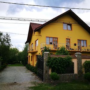 Pensiunea Ramona Otel Cărpinişu Exterior photo