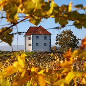 Wine Grower'S Mansion Zlati Gric Daire Slovenske Konjice Exterior photo