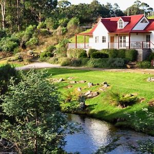 Crabtree Riverfront Cottages Beautiful Peaceful Location Relax & Enjoy Huonville Exterior photo