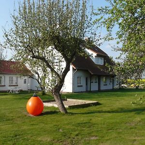 Pension Schwalbenhof Otel Klausdorf  Exterior photo