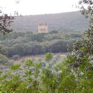 Tenuta Uccellina Otel Magliano in Toscana Exterior photo