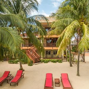 Buttonwood Belize Otel Hopkins Exterior photo