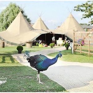 Skipbridge Farm Shepherds Huts Campground Otel Green Hammerton Exterior photo