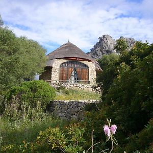 Los Chozos Otel Benaocaz Exterior photo