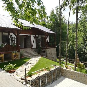 Casa Gozna Daire Văliug Exterior photo