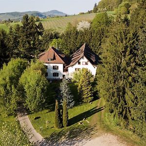 Gaestehaus Kaltenbach Otel Staufen im Breisgau Exterior photo