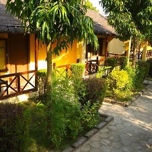 Mr. B'S Place Otel Bardiya Exterior photo