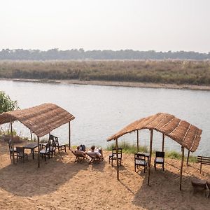 Jungle Wildlife Camp Otel Sauraha Exterior photo