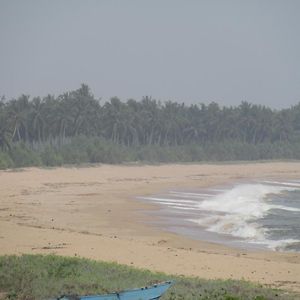 Kalamatiya Bird Sanctuary Otel Gurupokuna Exterior photo