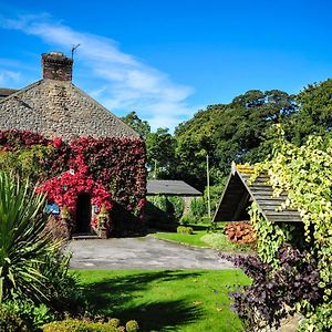 The Wyvill Arms Otel Leyburn Exterior photo