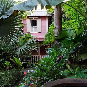 Pink Plantation House Otel Castries Exterior photo