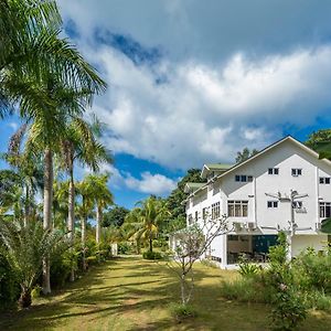 La Modestie Guest House Grand Anse  Exterior photo