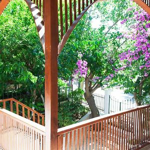 Orhan Kutbay'In Evi Turyolu Cafe Pansiyon Adalar Exterior photo