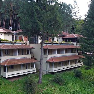 Restoran Sa Prenocistem Gornjak Otel Krepoljin Exterior photo