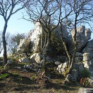 Le Rocher Du Samoyede Otel Dirinon Exterior photo