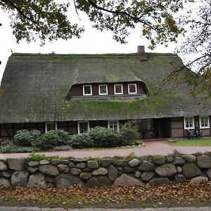 Reit- Und Bauernhof Klaucke Daire Trebel Exterior photo