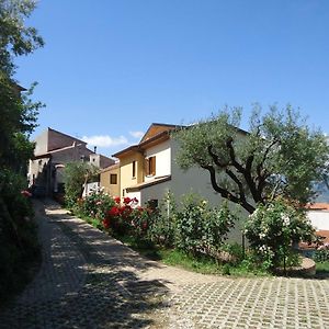 Dianum Villa Degli Ulivi Padula Exterior photo