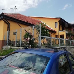 Casa Darius Daire Orşova Exterior photo