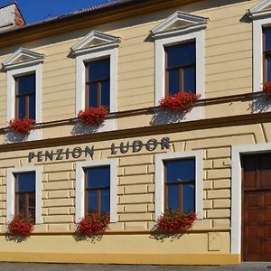 Penzion Ludor Otel Strážnice Exterior photo