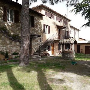 Il Rifugio Del Leone Daire Perugia Exterior photo