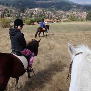 Dona Guest House - Horse Riding Koprivştitsa Exterior photo