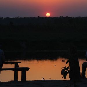 Jungle Sunset Camp Otel Sauraha Exterior photo