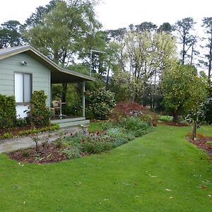 The Little House On The Hill Otel Healesville Exterior photo