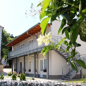 Pension Am Ziegelwall Otel Bautzen Exterior photo