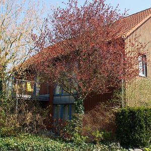 Gaestehaus/Fewos/Boardinghaus Lueneburg Sued Otel Exterior photo