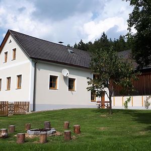 Ferienhaus Buxbaum Villa Arbesbach Exterior photo