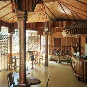 Pagdayon Traveler'S Inn Puerto Princesa Exterior photo