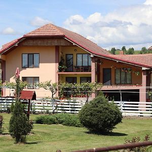 Casa De Vacanta Madalina Otel Novaci-Străini Exterior photo