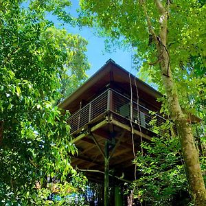 Cairns Rainforest Retreat Otel Exterior photo