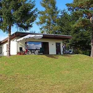 Vulkaneifel Type L-A4 Otel Gerolstein Exterior photo