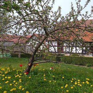 Pension Töpferhof Bad Berka Exterior photo