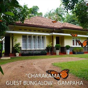 Charakama Guest Bungalow - Gampaha Otel Exterior photo